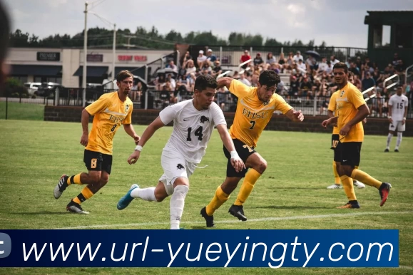 悦盈体育发展历程